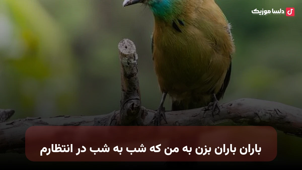 باران باران بزن به من که شب به شب در انتظارم صدای زن